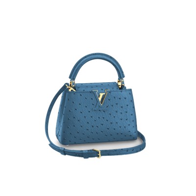 LOUIS VUITTON CAPUCINES MINI M95509 (21*14*8cm) 